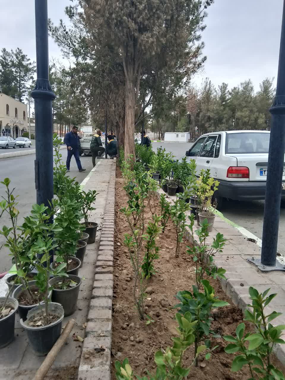 کاشت بیش از 500 عدد انواع گل و درختچه و نهال در سطح آرامستان در راستای افزایش سرانه فضای سبز ، و حفظ زیبایی و ایجاد نشاط در بین زائران قبور
